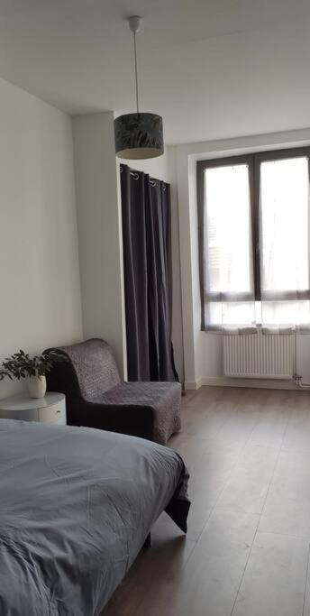 Appartement Logement 5 Personnes Proche Cv Et Parking Prive à Saint-Etienne  Extérieur photo