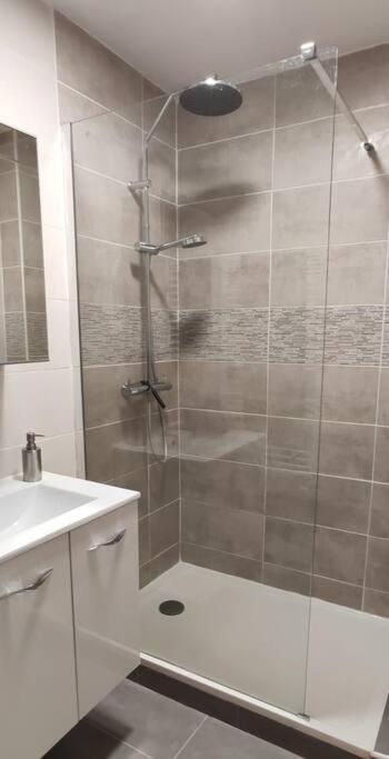 Appartement Logement 5 Personnes Proche Cv Et Parking Prive à Saint-Etienne  Extérieur photo