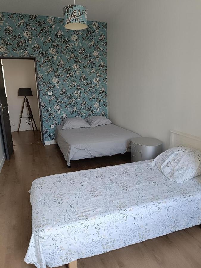 Appartement Logement 5 Personnes Proche Cv Et Parking Prive à Saint-Etienne  Extérieur photo